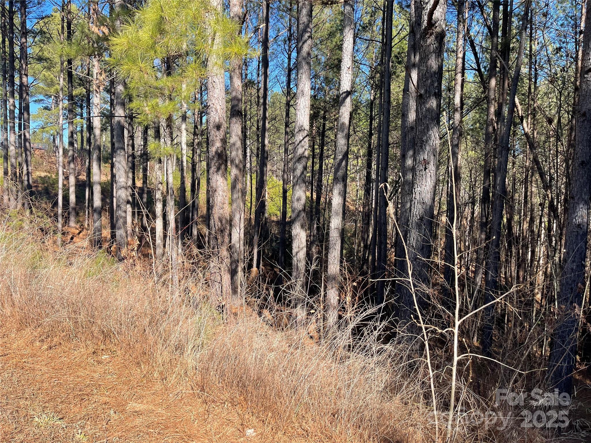 109 Shortoff Trail Property Photo 3