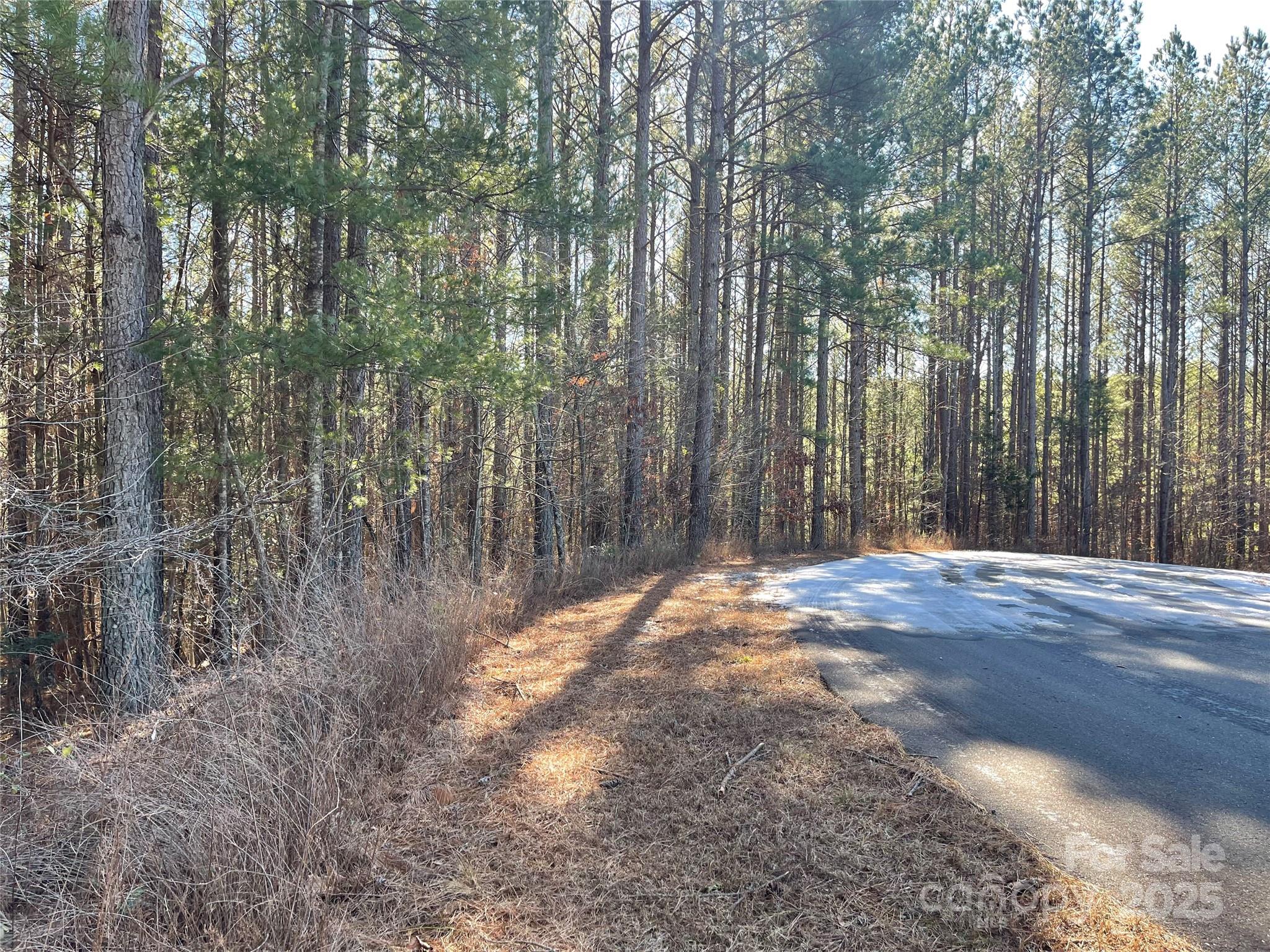 109 Shortoff Trail Property Photo 4