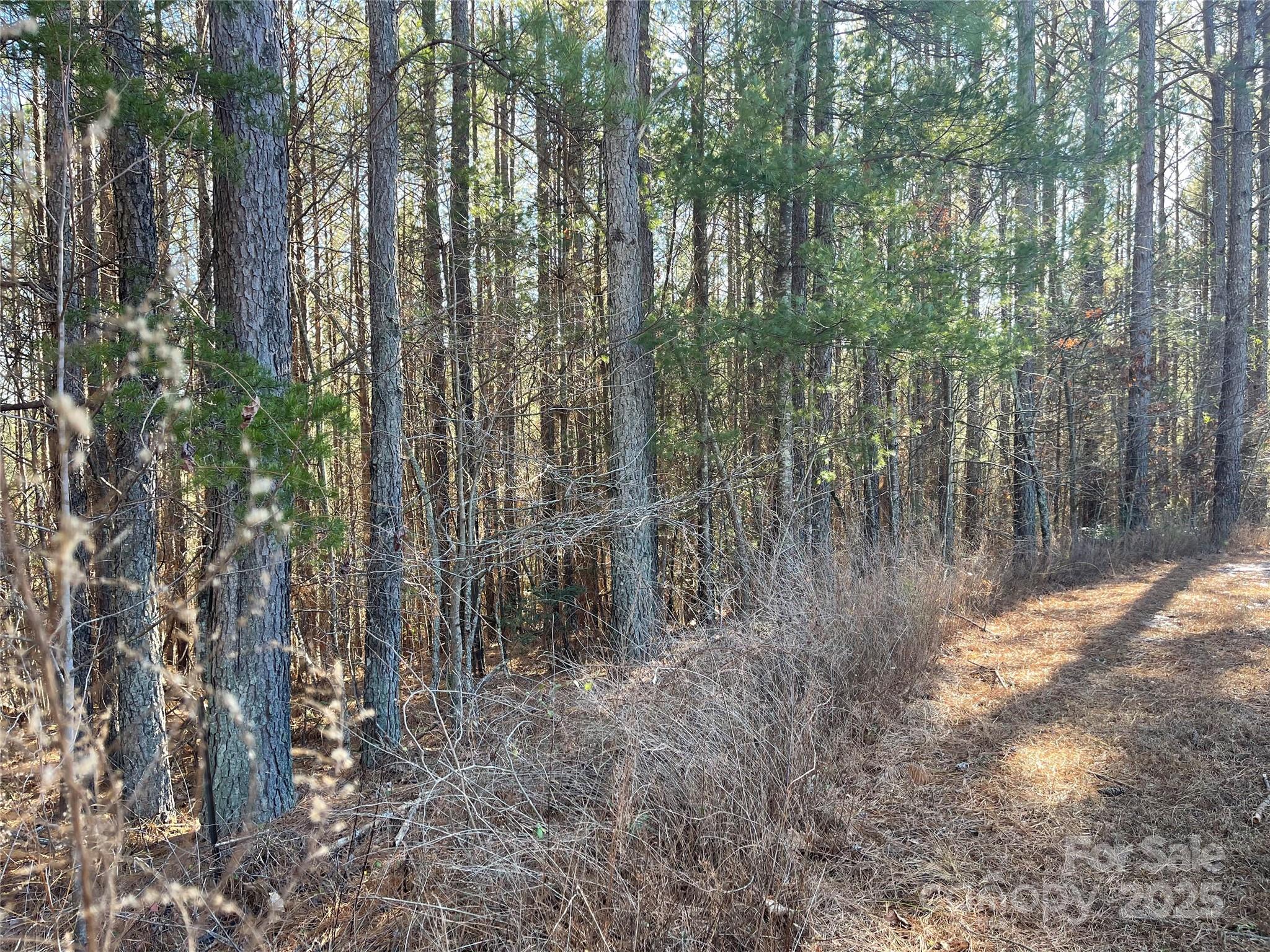 109 Shortoff Trail Property Photo 5