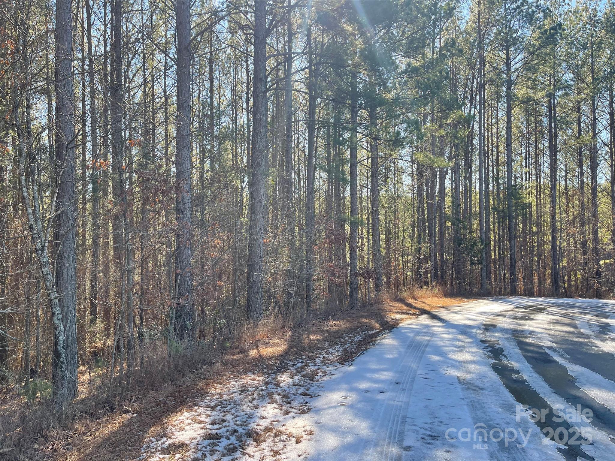 109 Shortoff Trail Property Photo 7
