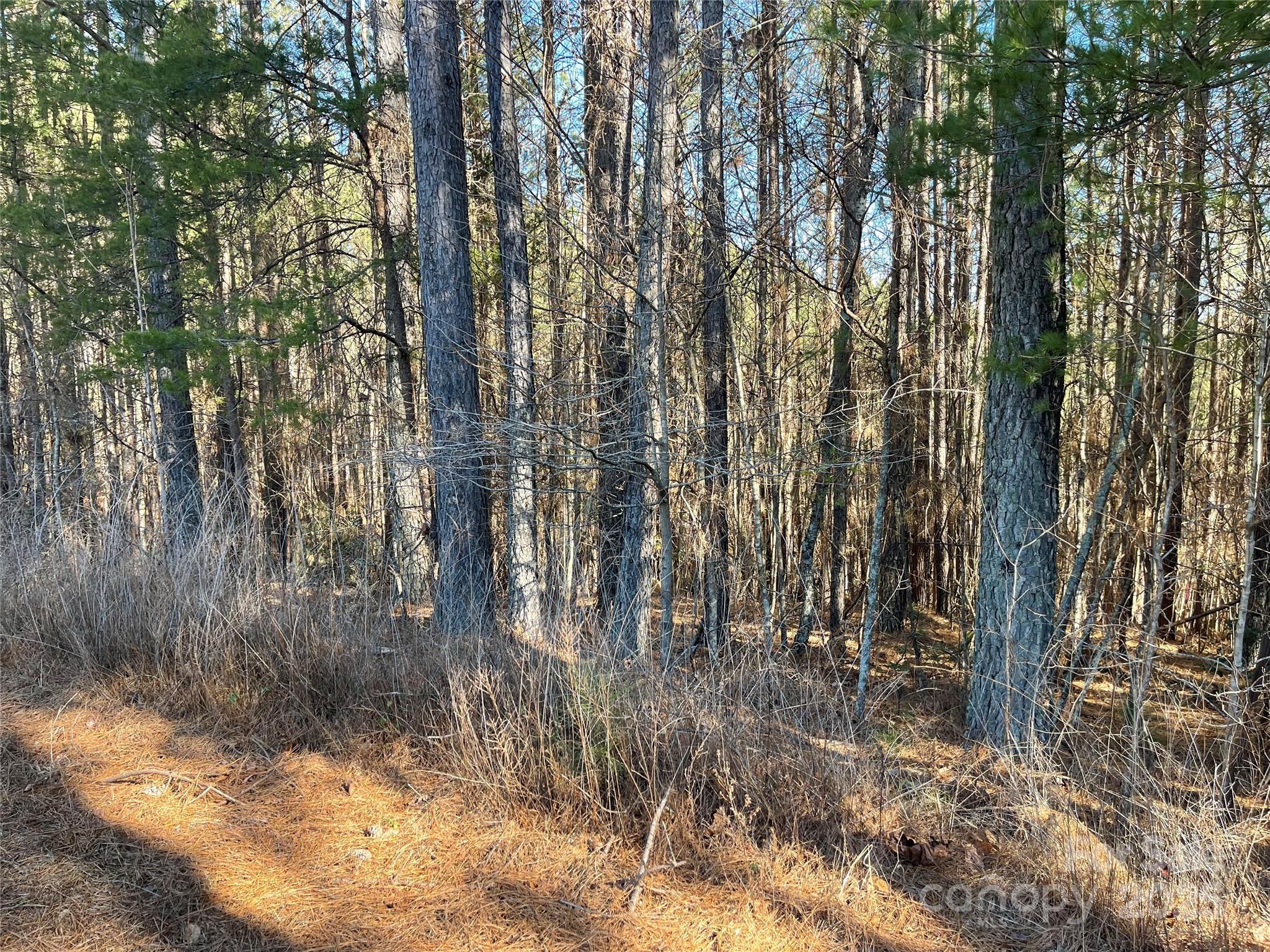 109 Shortoff Trail Property Photo 8