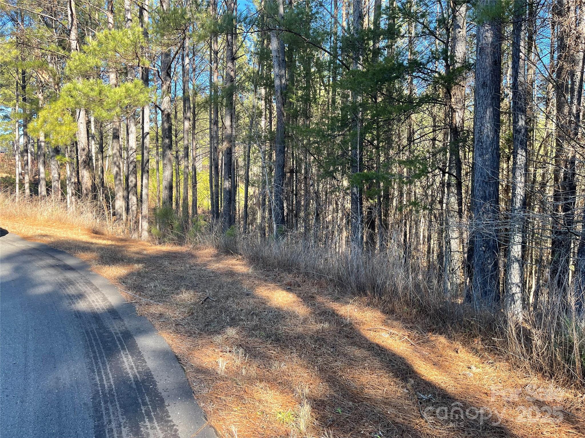 109 Shortoff Trail Property Photo 9