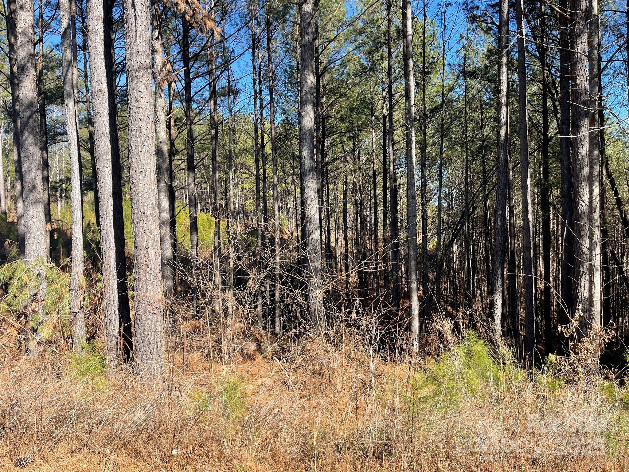 109 Shortoff Trail Property Photo 10