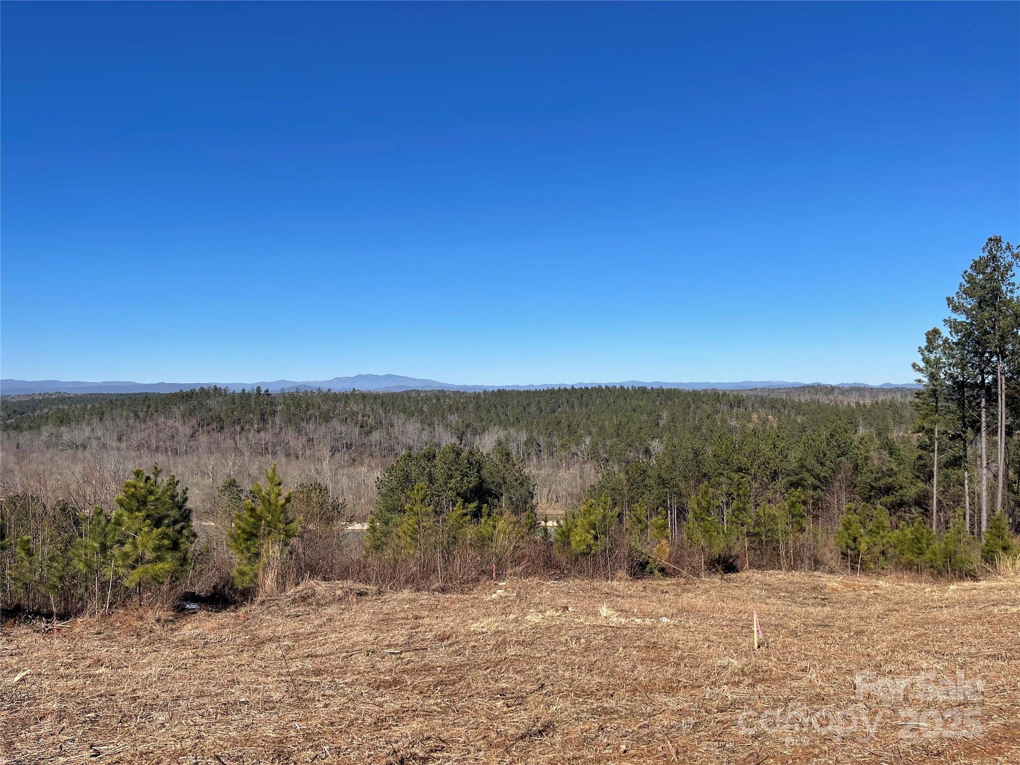109 Shortoff Trail Property Photo 14