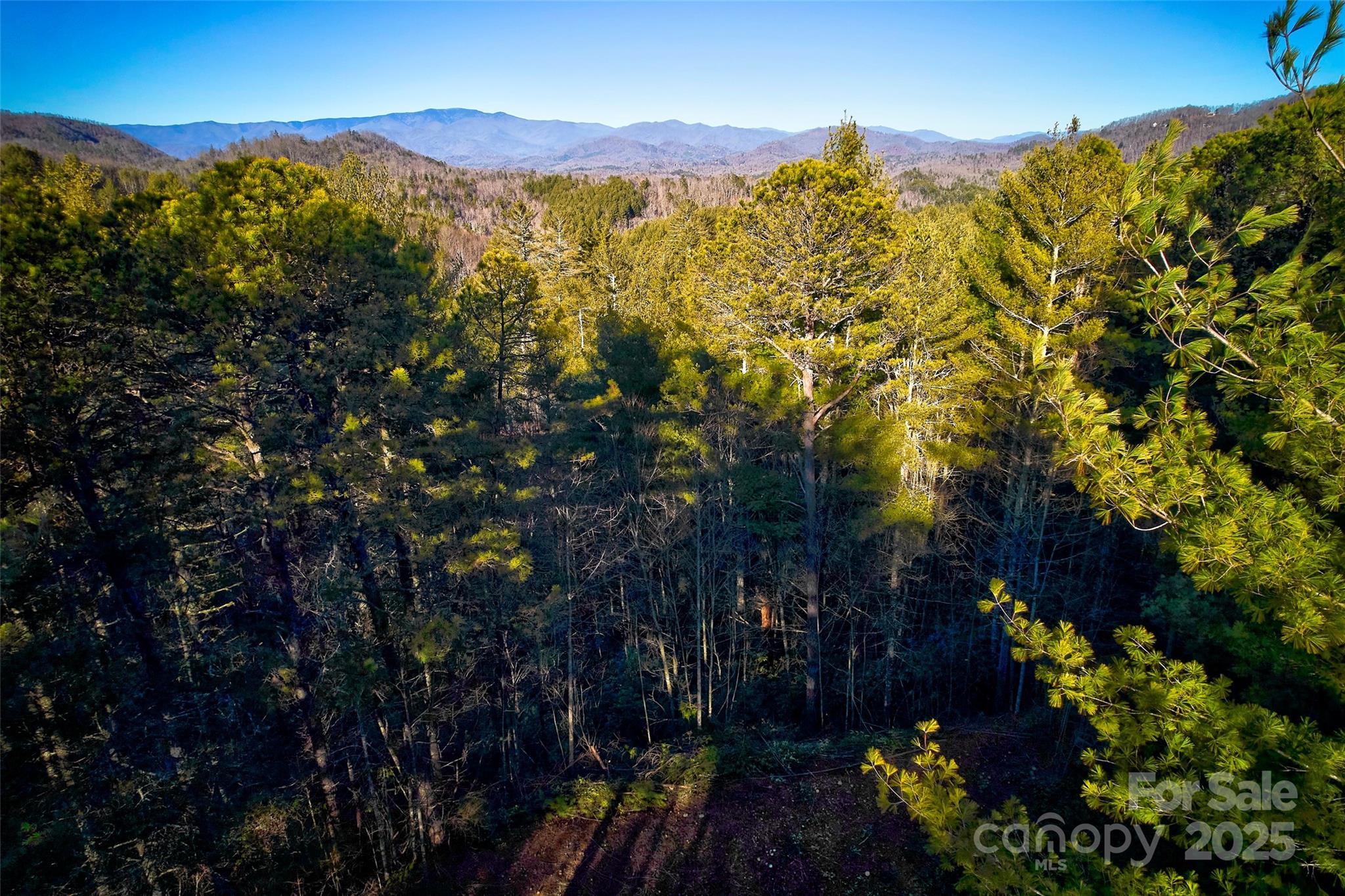 0 Piney Cove Road Property Photo 3