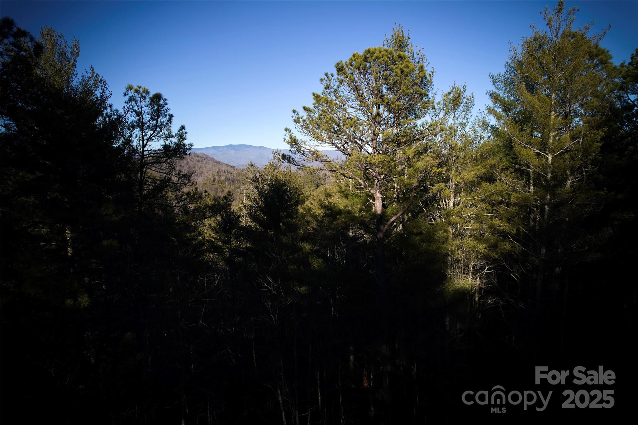 0 Piney Cove Road Property Photo 5