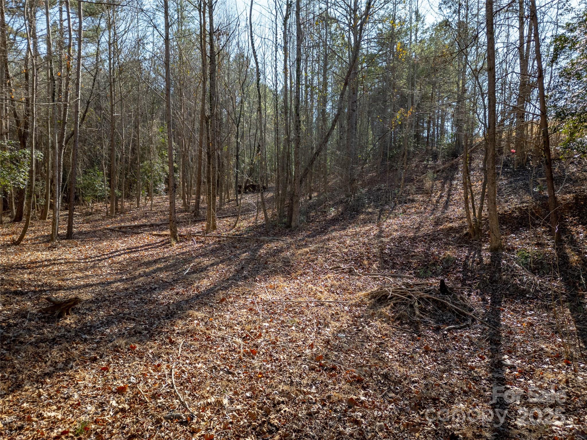 274 Rivercliff Drive Property Photo 7