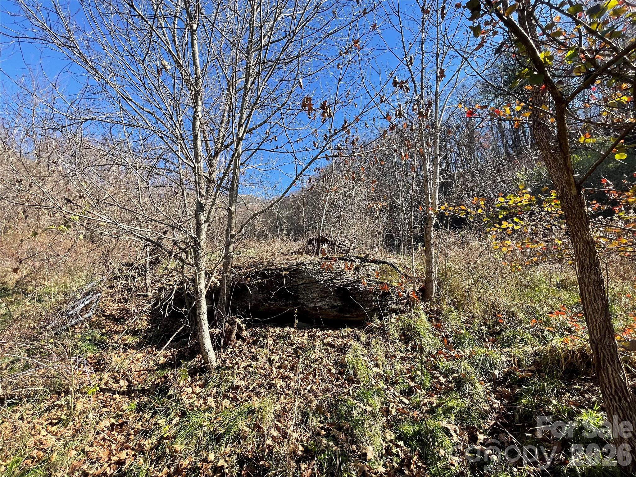 00 Wilson Cove Road Property Photo 18