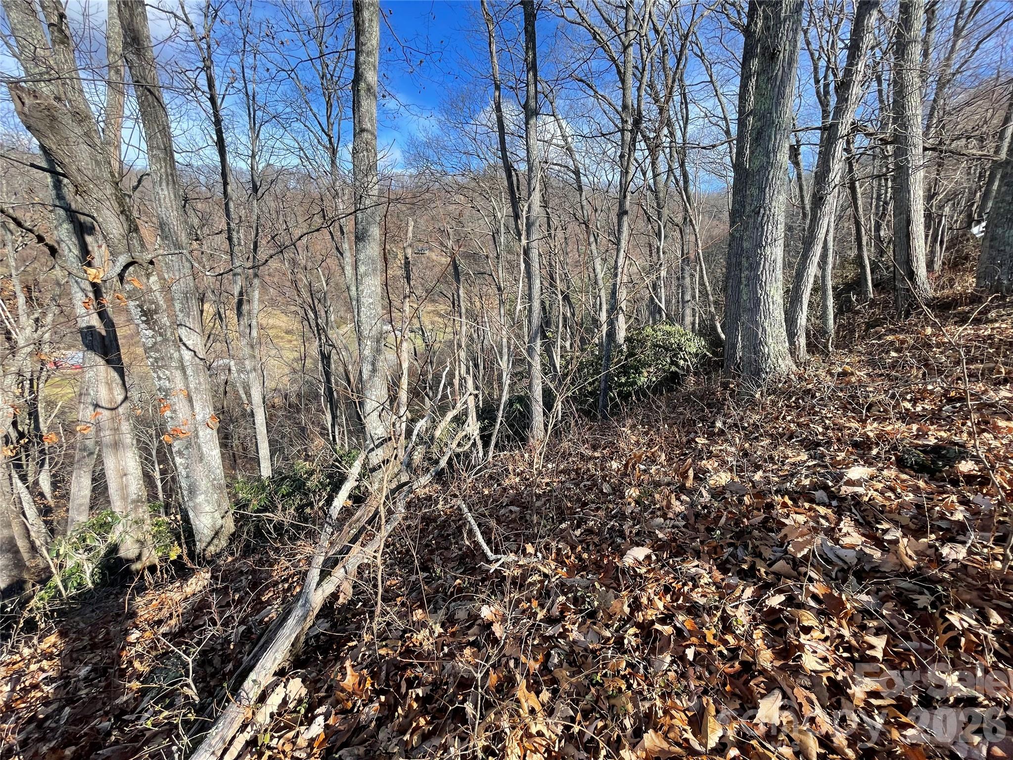 00 Wilson Cove Road Property Photo 25