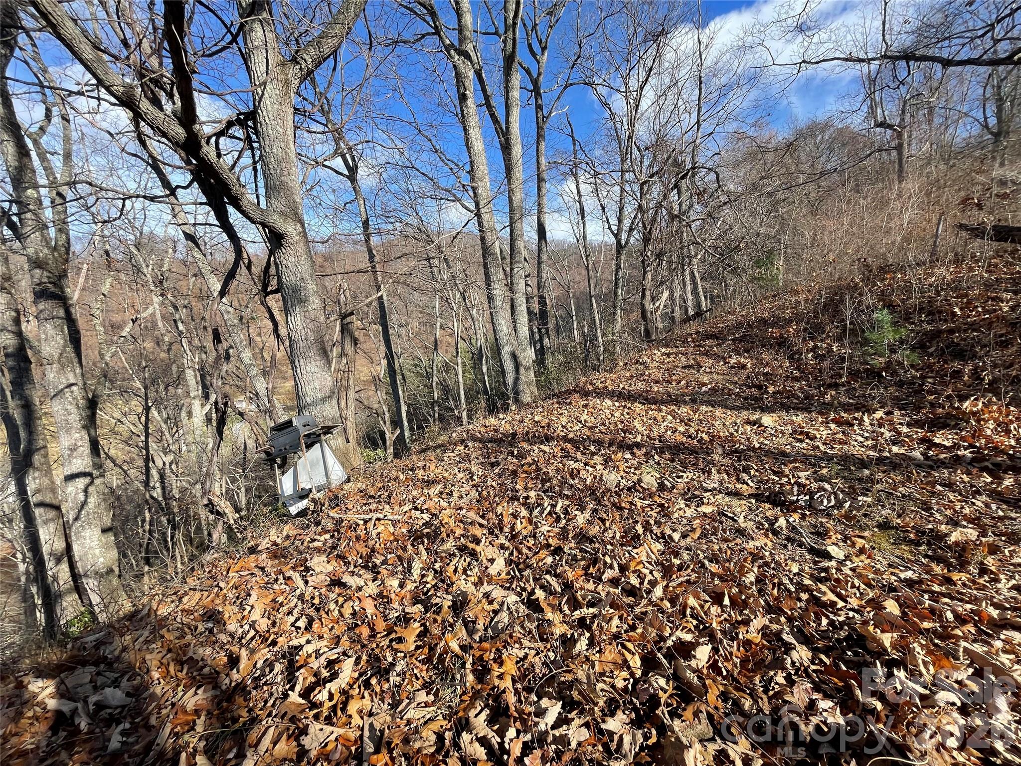 00 Wilson Cove Road Property Photo 27