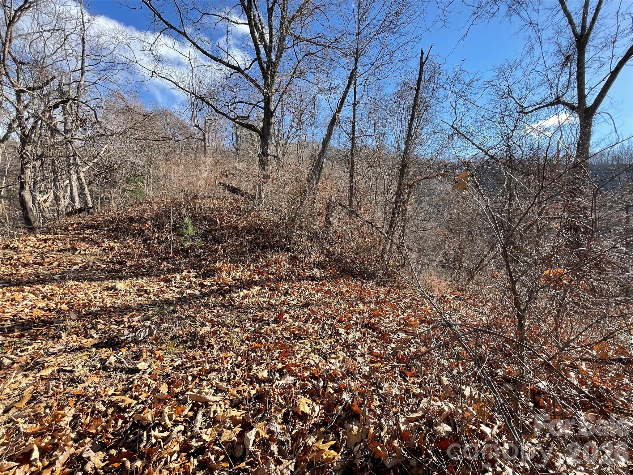 00 Wilson Cove Road Property Photo 28