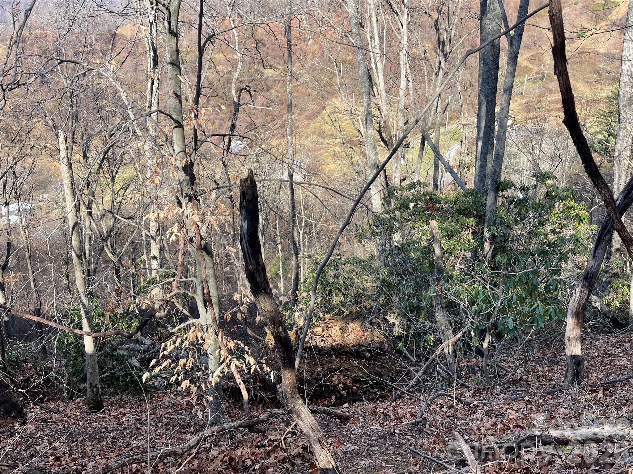 00 Wilson Cove Road Property Photo 29