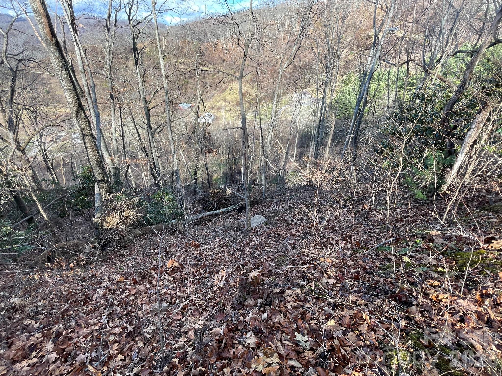 00 Wilson Cove Road Property Photo 32
