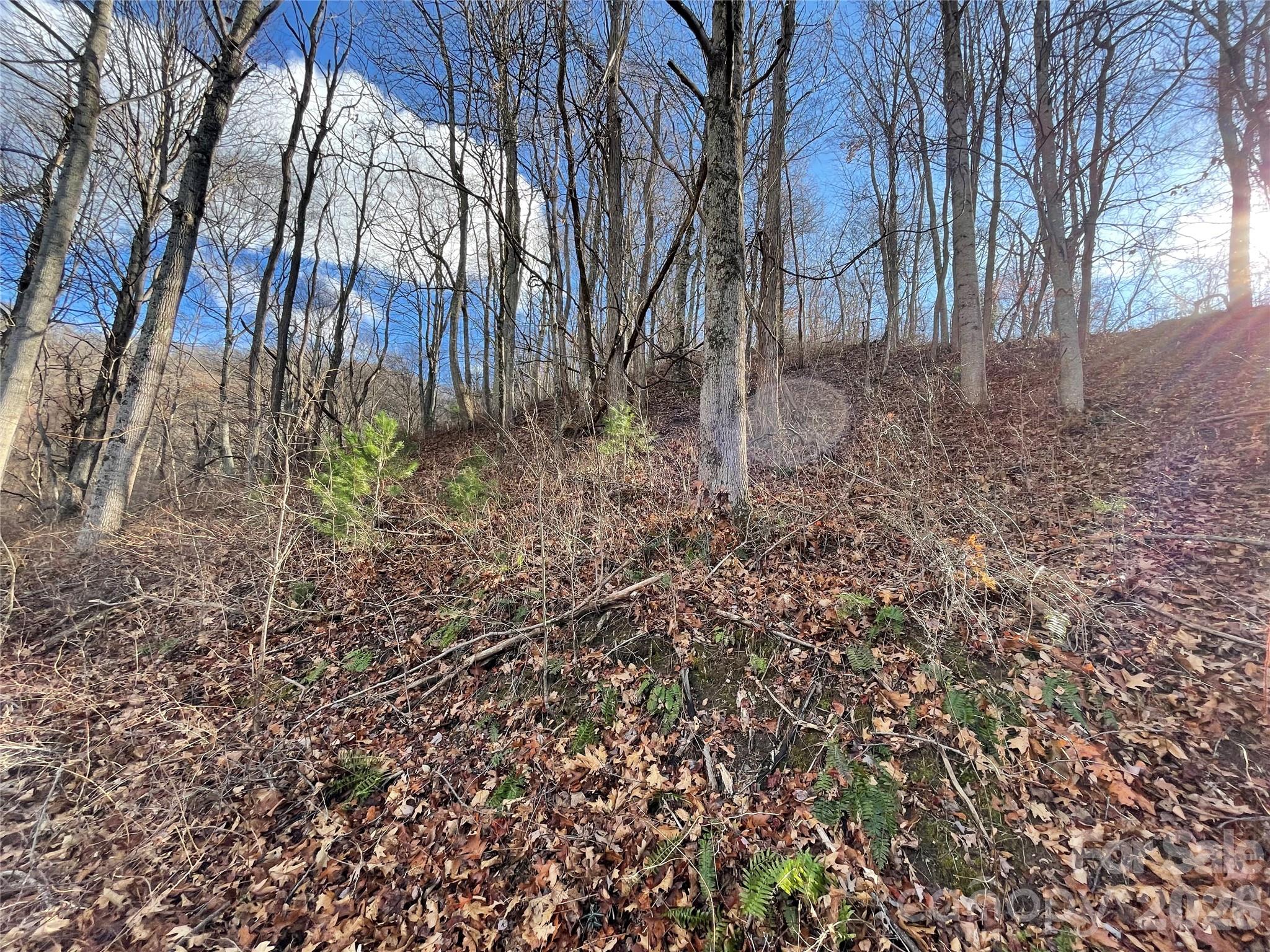 00 Wilson Cove Road Property Photo 33