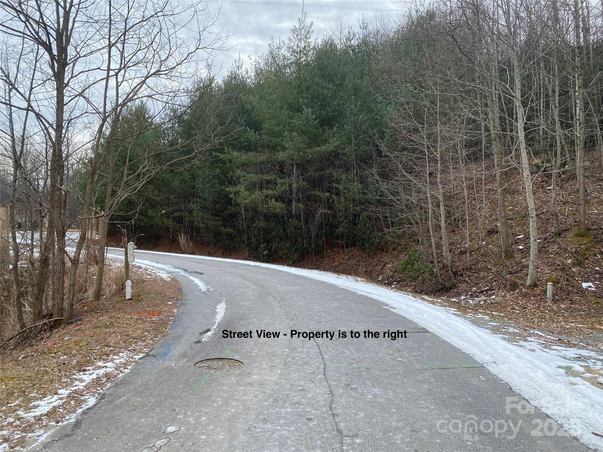 Lot 1906 Preserve Court Property Photo 4