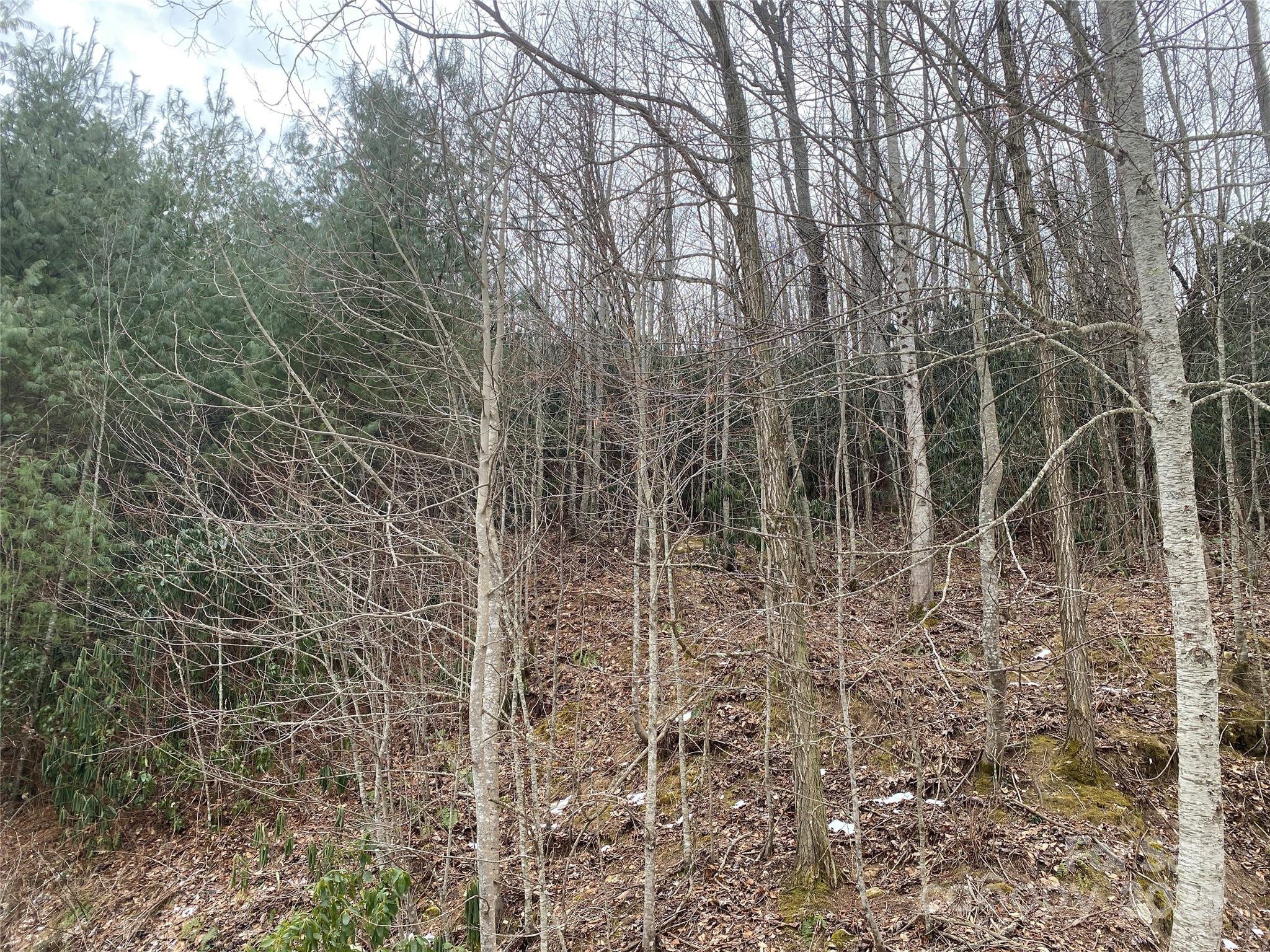 Lot 1906 Preserve Court Property Photo 5