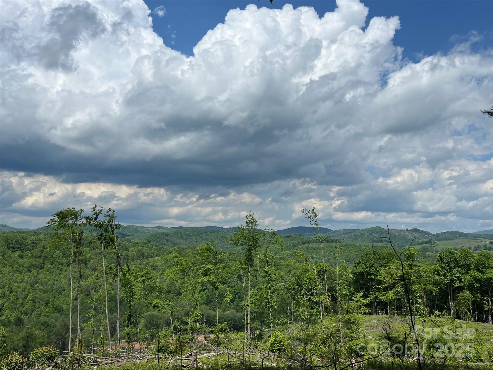 Tbd Maines Hill Lane Property Photo