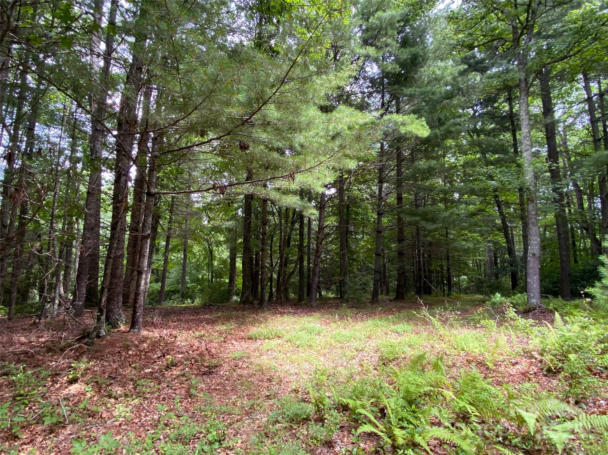 Tbd Maines Hill Lane Property Photo 4