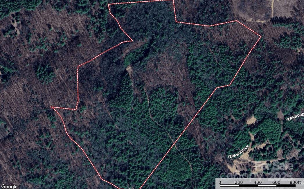Tbd Maines Hill Lane Property Photo 10