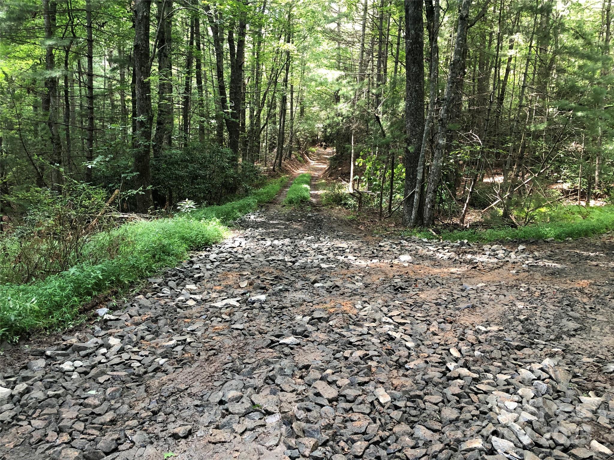 Tbd Maines Hill Lane Property Photo 13