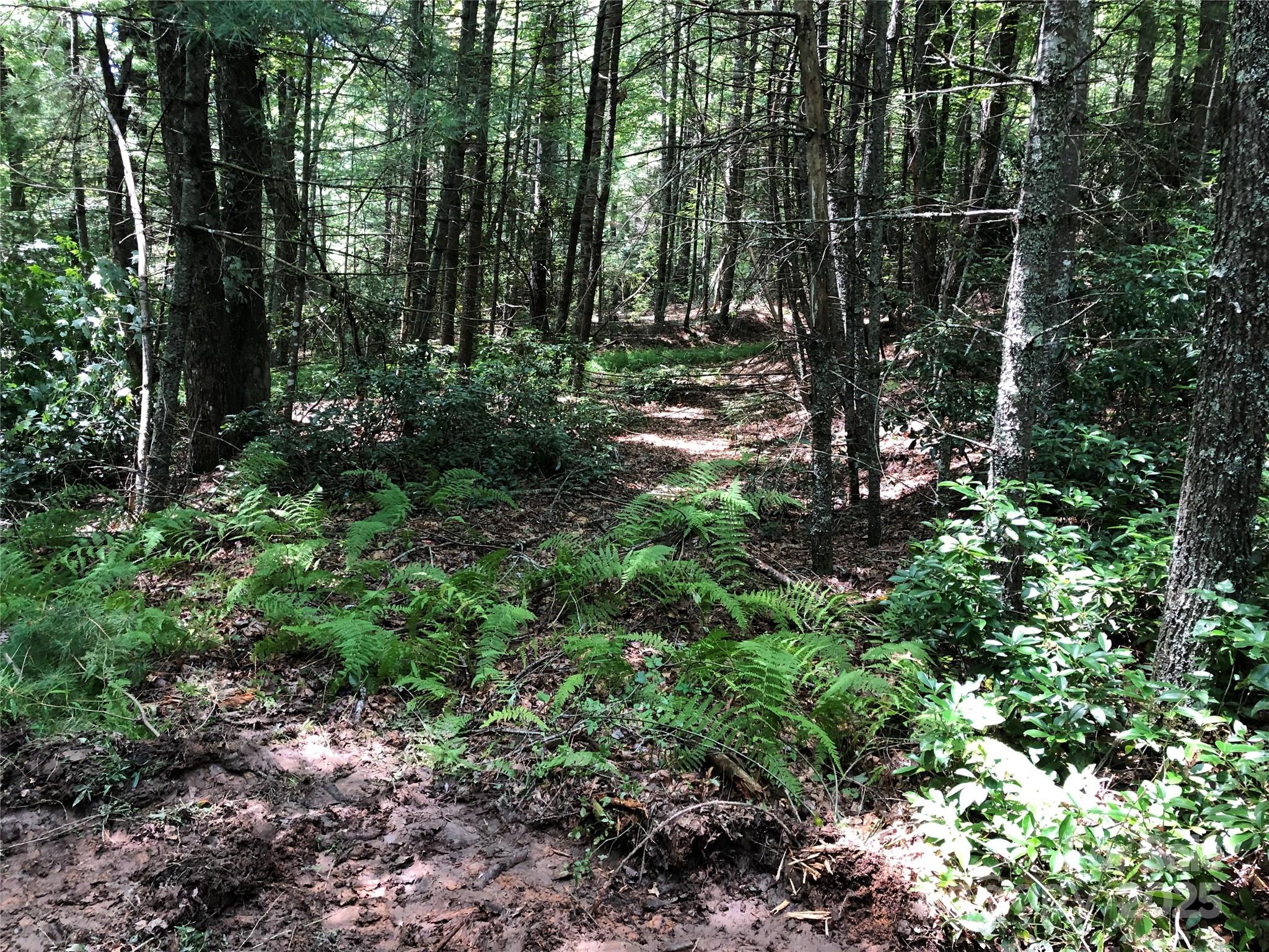 Tbd Maines Hill Lane Property Photo 15