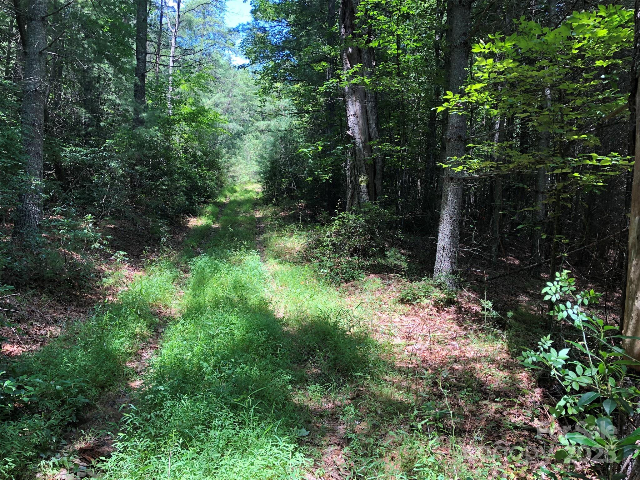 Tbd Maines Hill Lane Property Photo 16