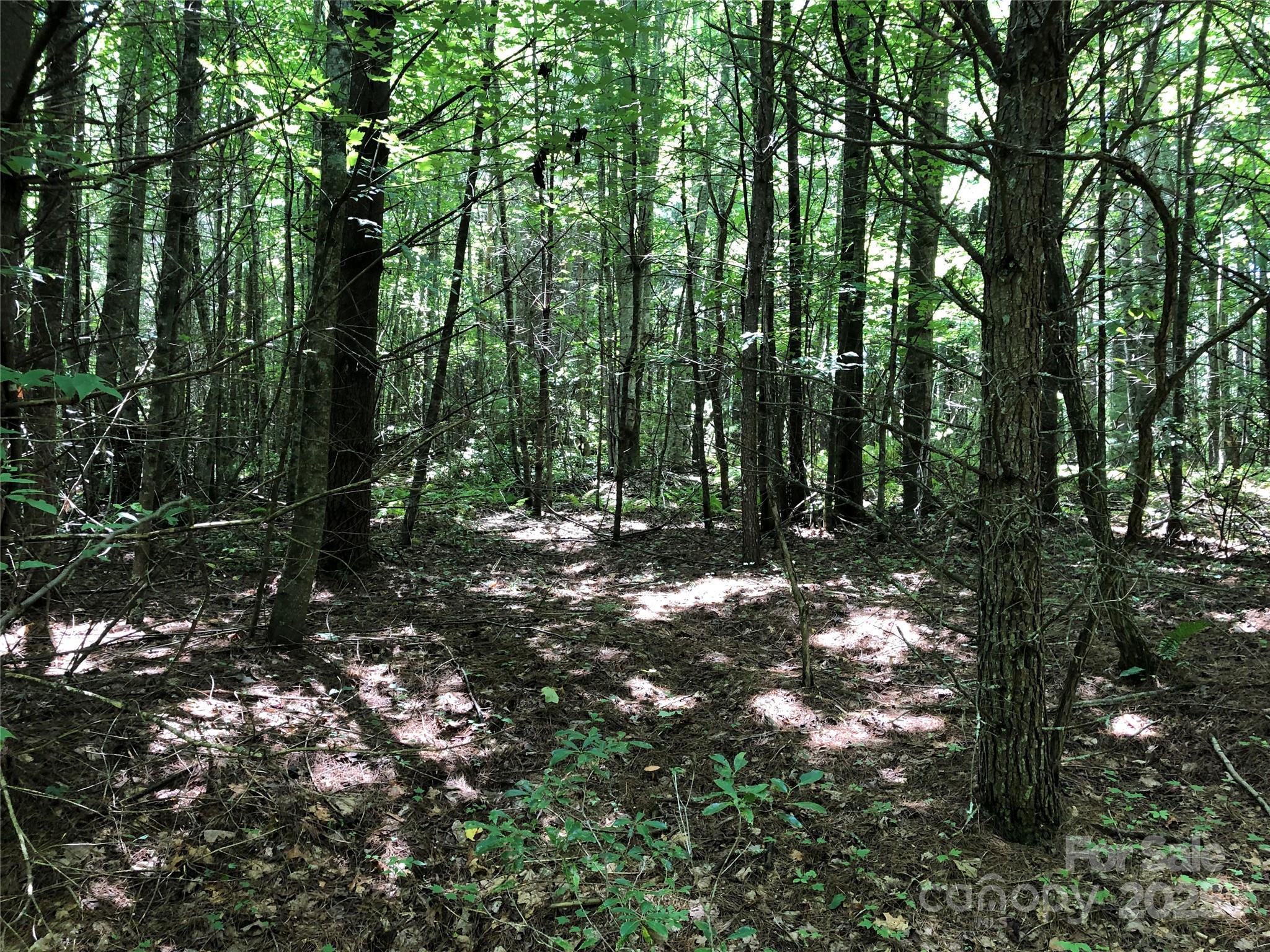 Tbd Maines Hill Lane Property Photo 18
