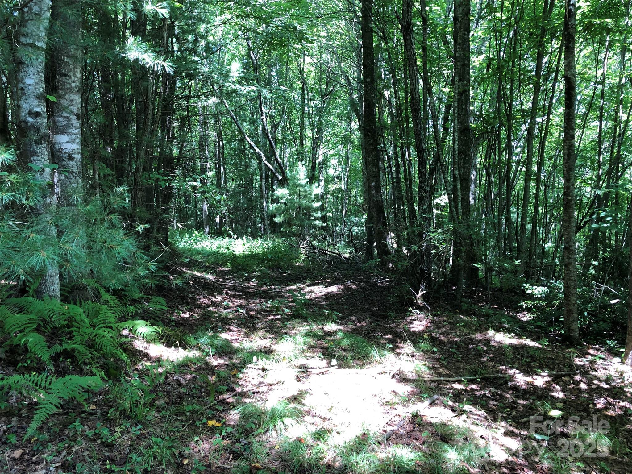 Tbd Maines Hill Lane Property Photo 19