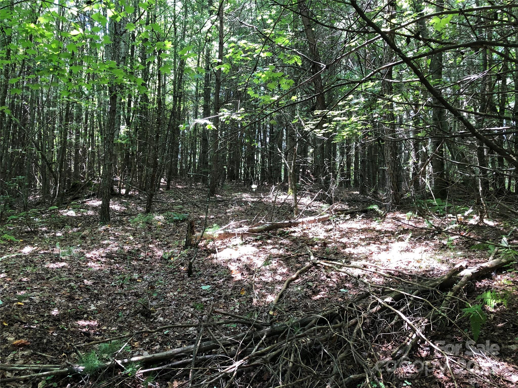 Tbd Maines Hill Lane Property Photo 20