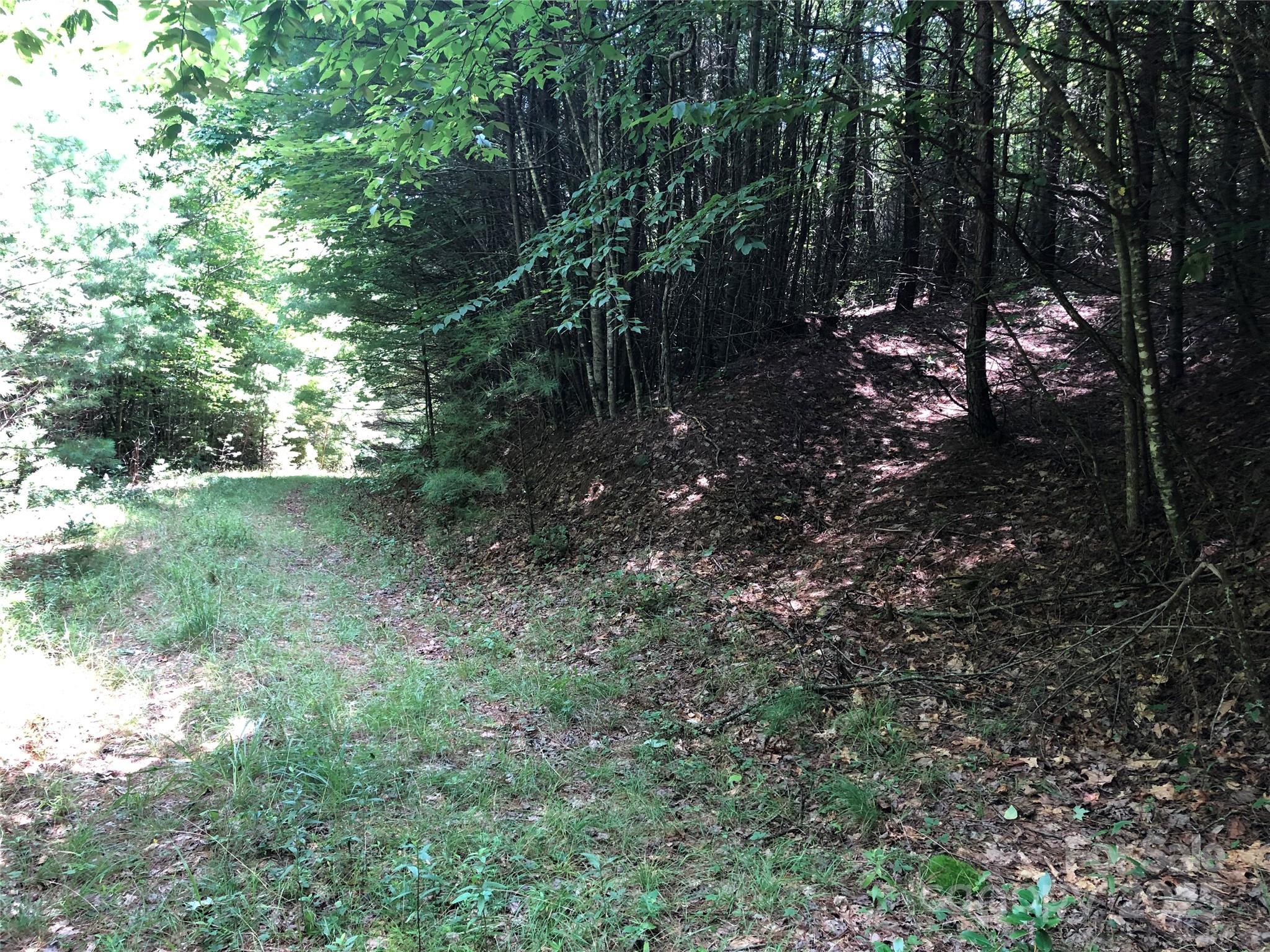 Tbd Maines Hill Lane Property Photo 21