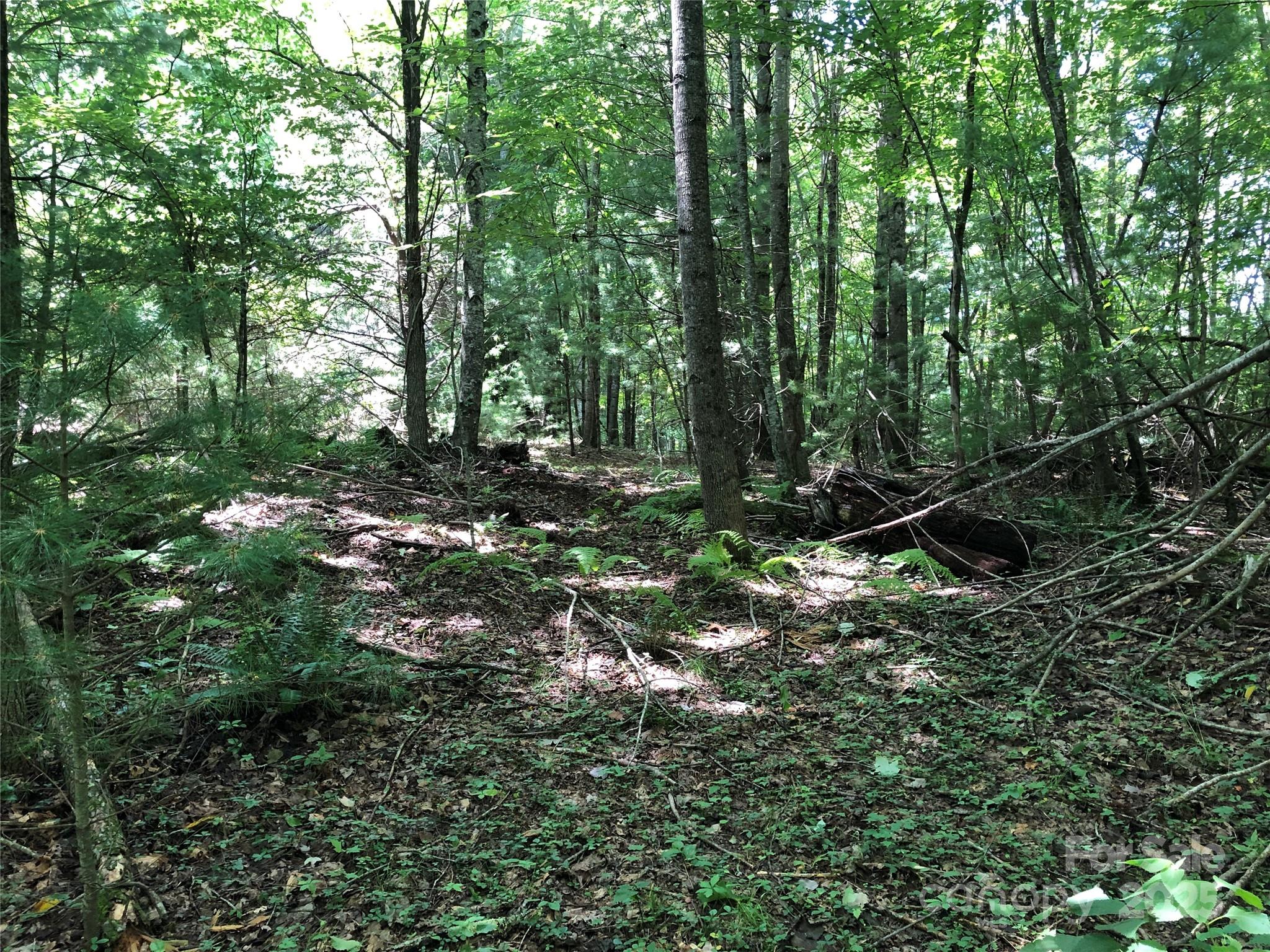 Tbd Maines Hill Lane Property Photo 22