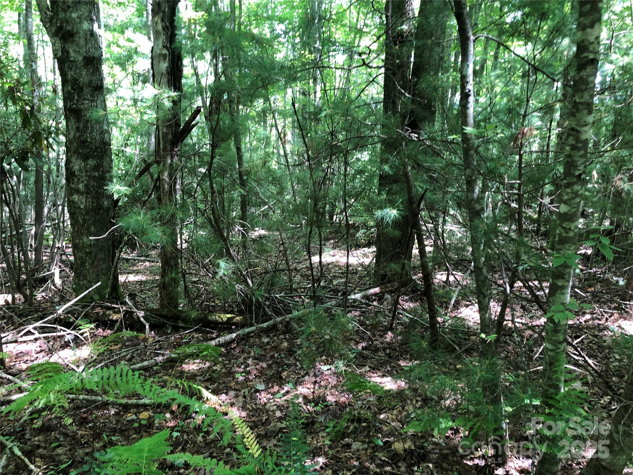Tbd Maines Hill Lane Property Photo 24