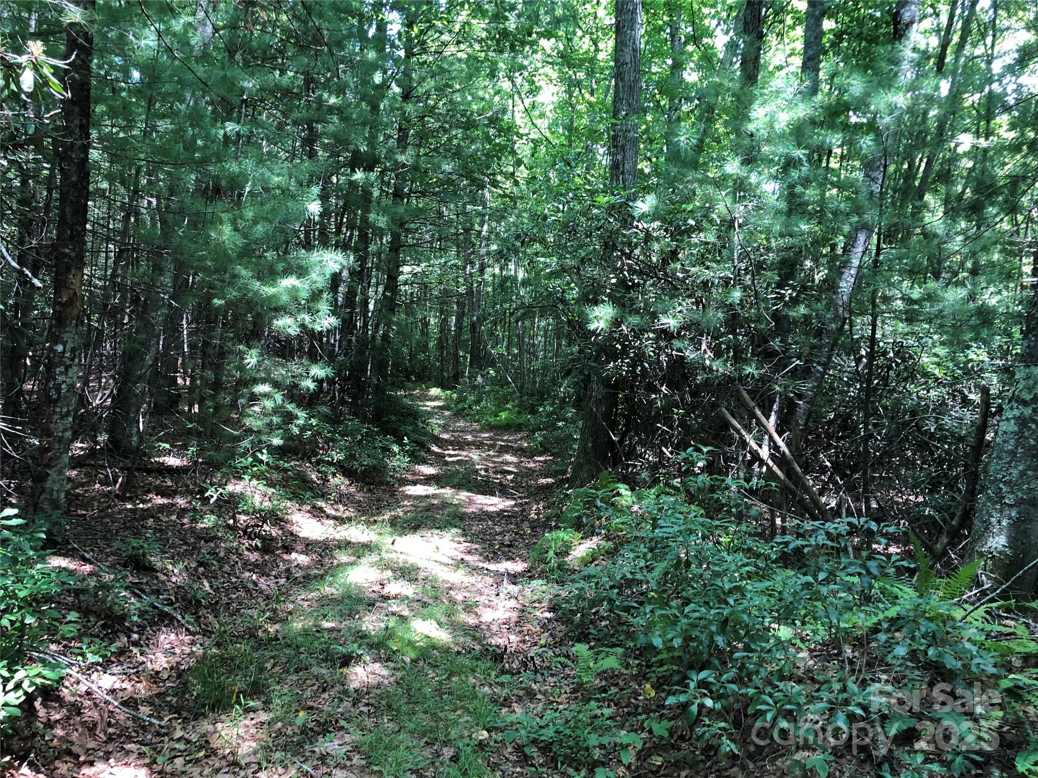 Tbd Maines Hill Lane Property Photo 25