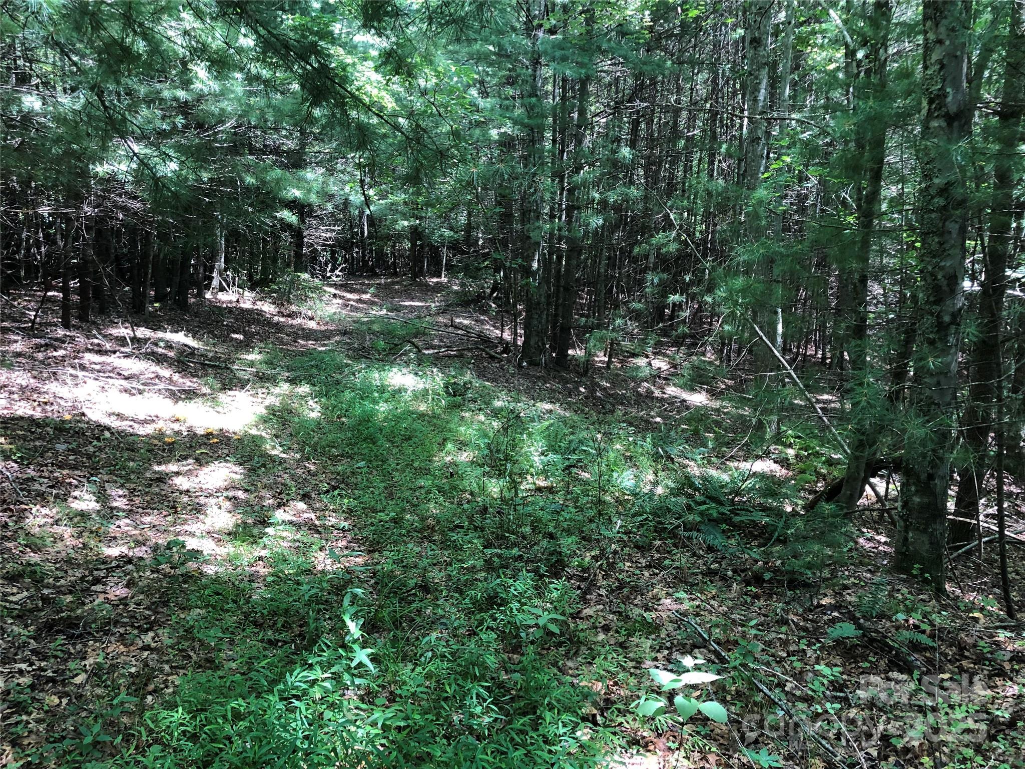 Tbd Maines Hill Lane Property Photo 26