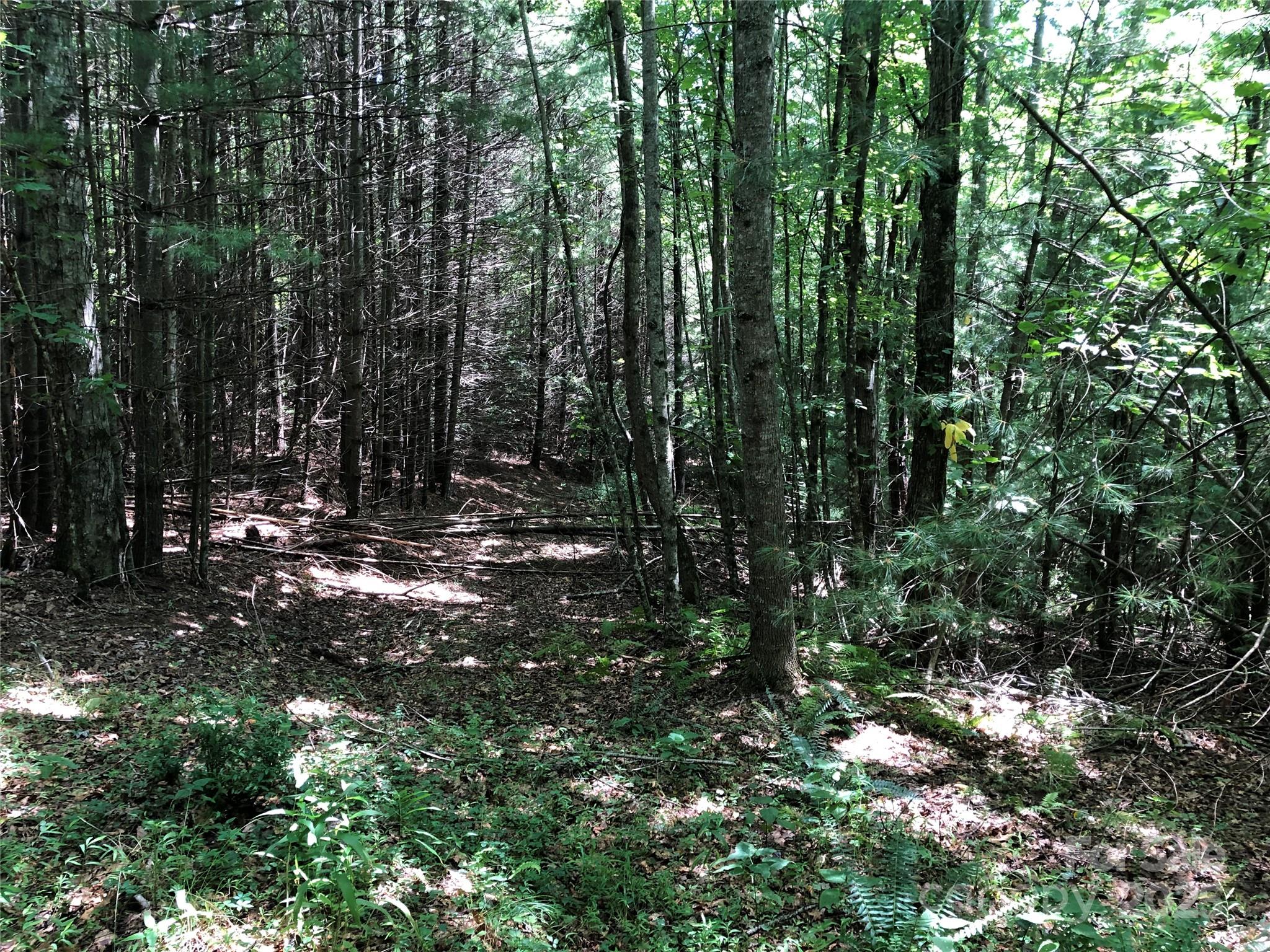 Tbd Maines Hill Lane Property Photo 27