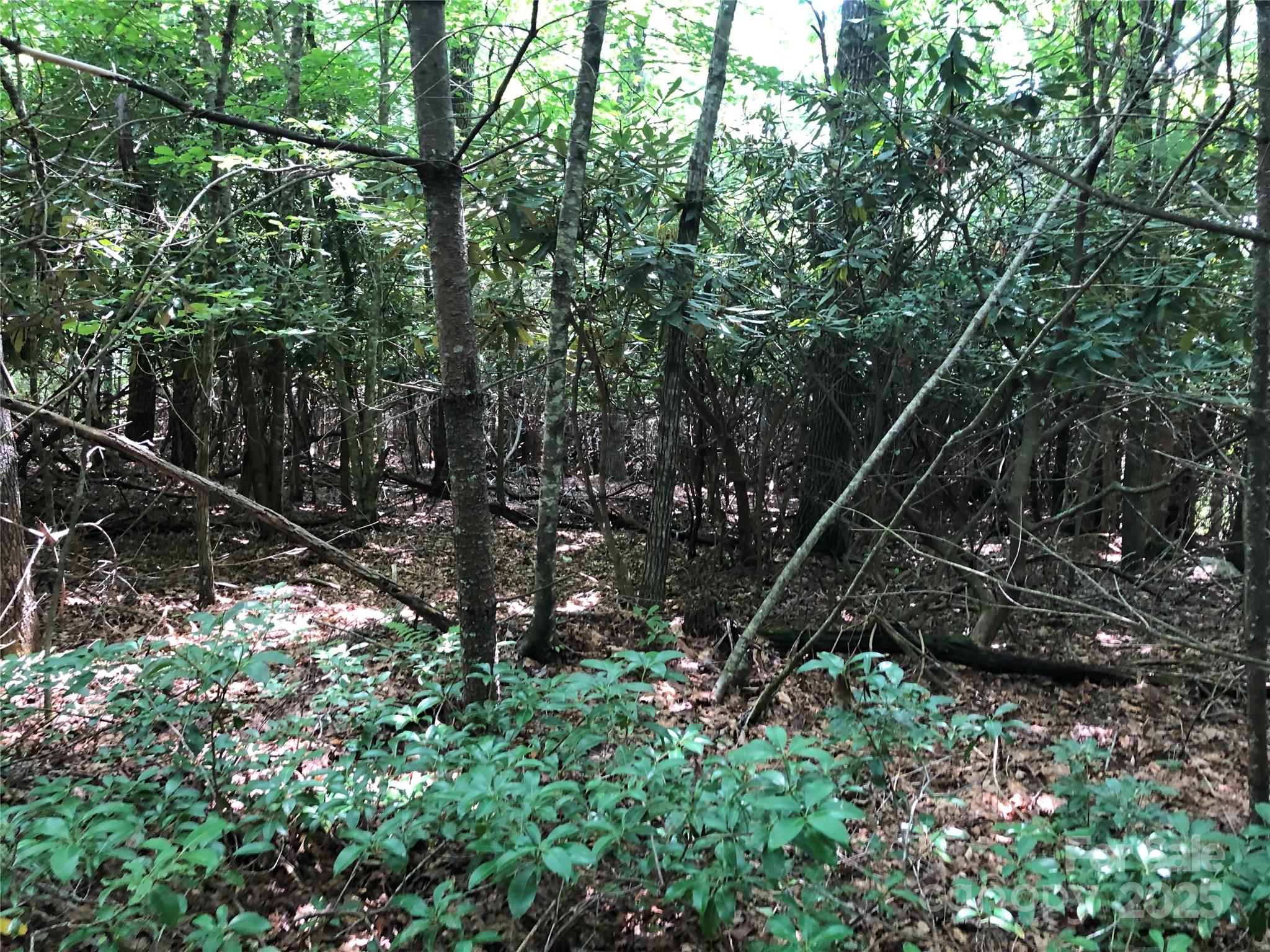 Tbd Maines Hill Lane Property Photo 28