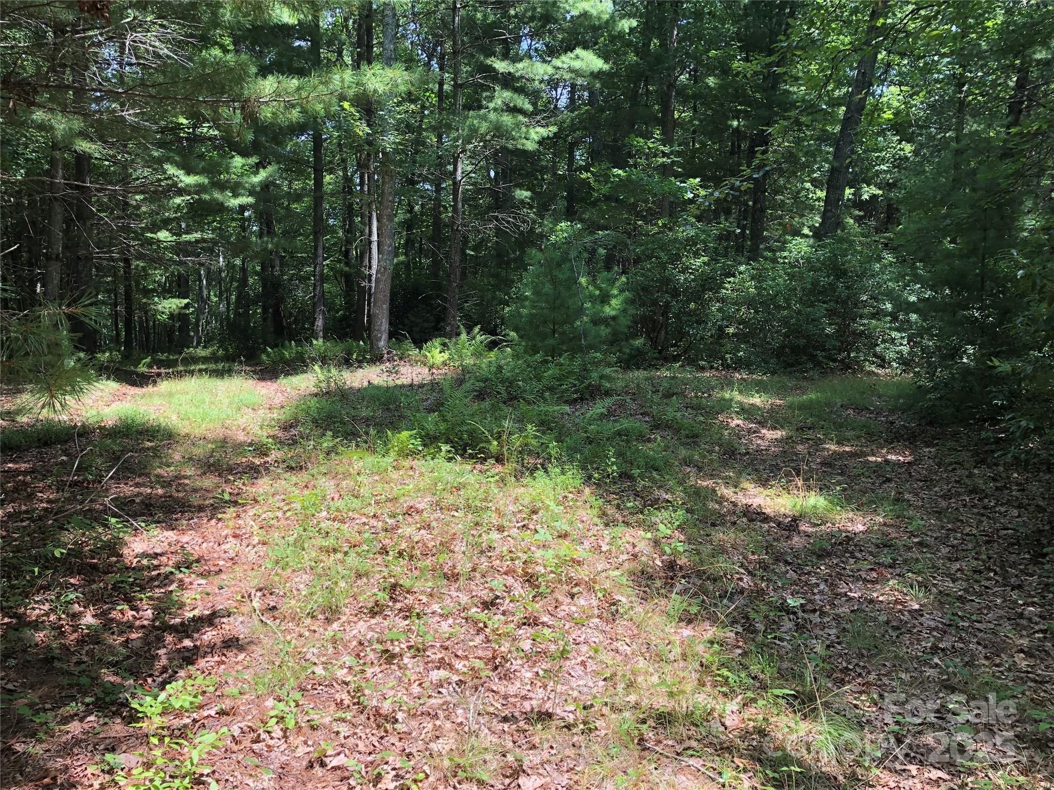 Tbd Maines Hill Lane Property Photo 29