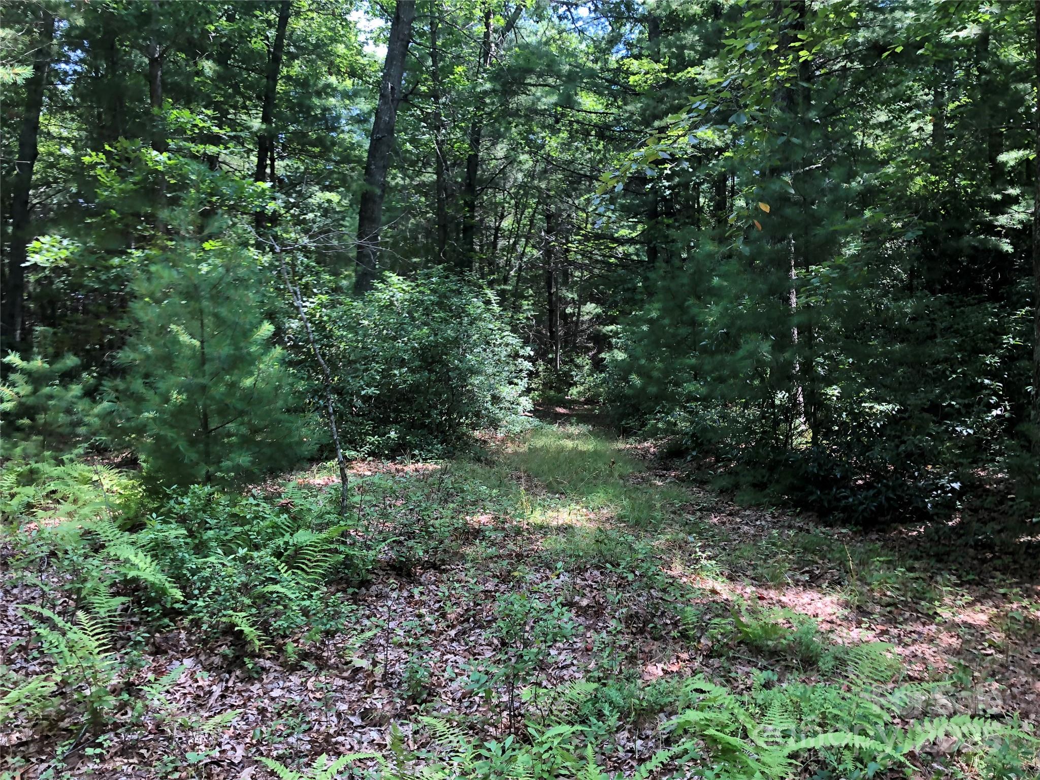Tbd Maines Hill Lane Property Photo 30