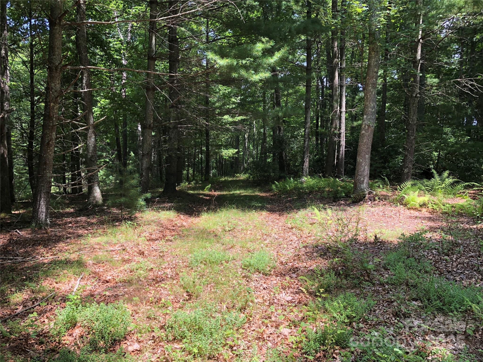 Tbd Maines Hill Lane Property Photo 31