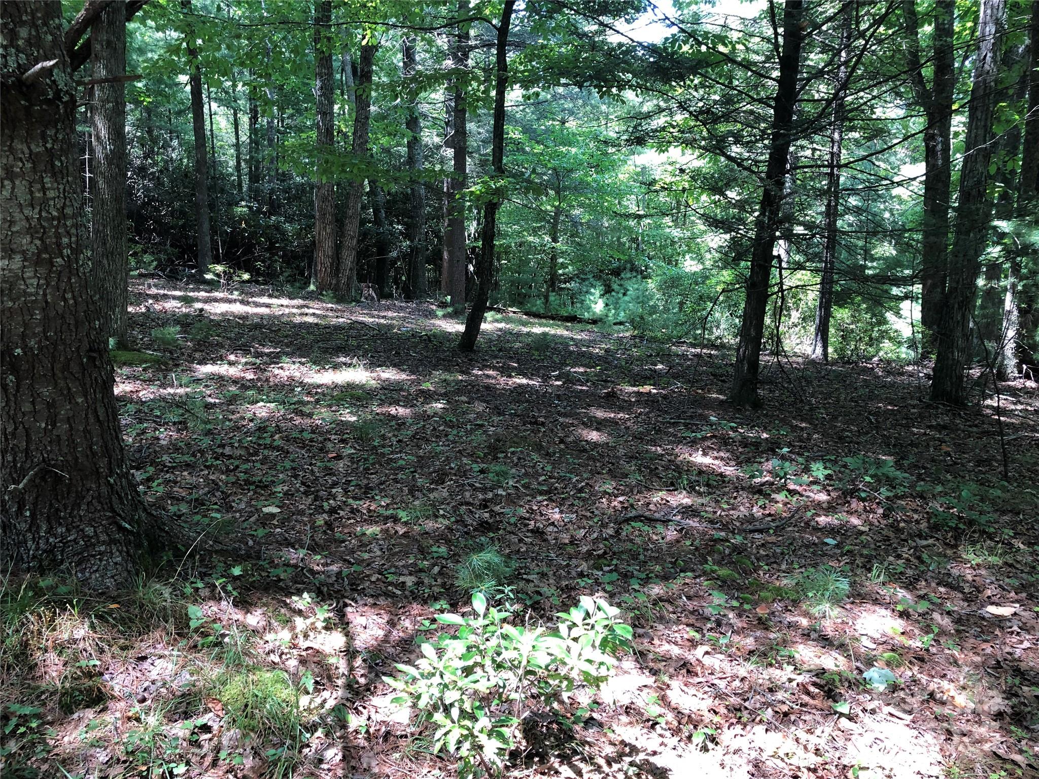 Tbd Maines Hill Lane Property Photo 32