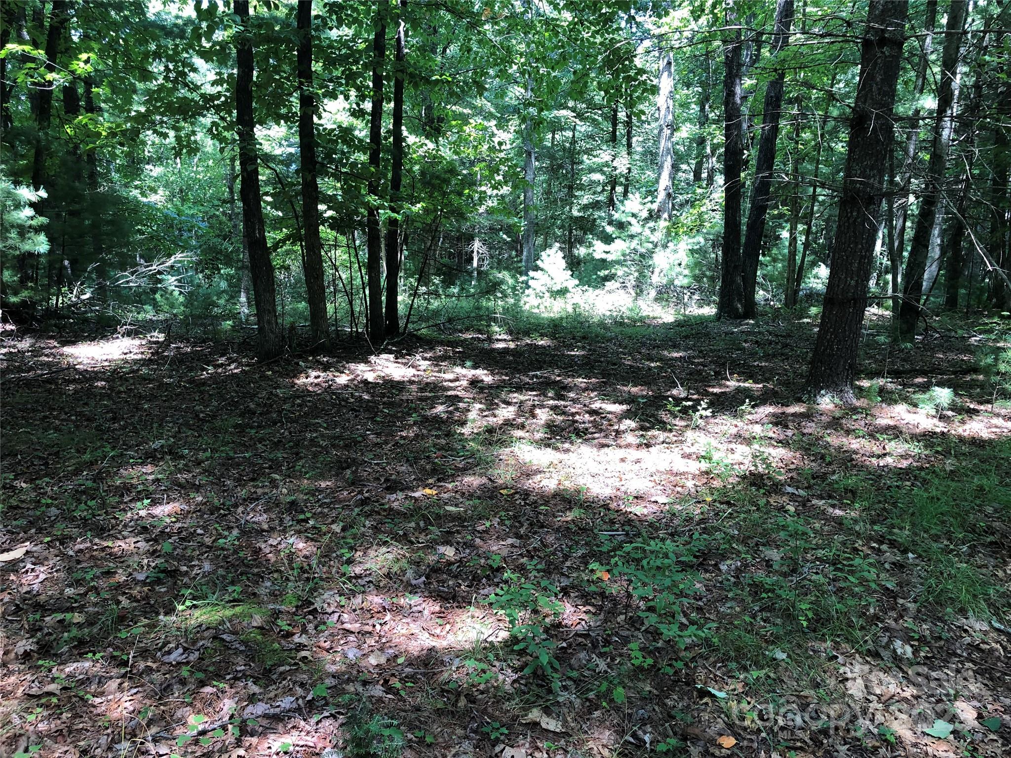 Tbd Maines Hill Lane Property Photo 33