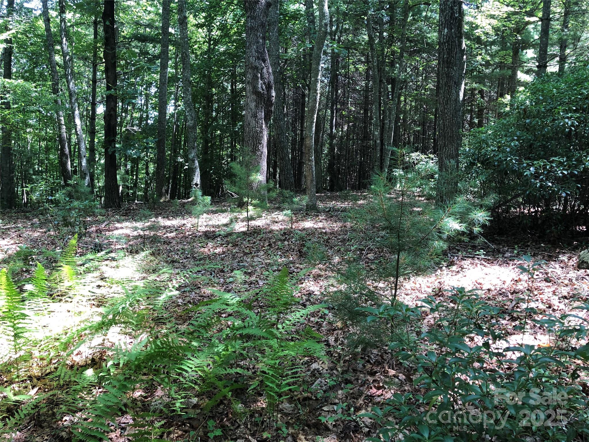 Tbd Maines Hill Lane Property Photo 34