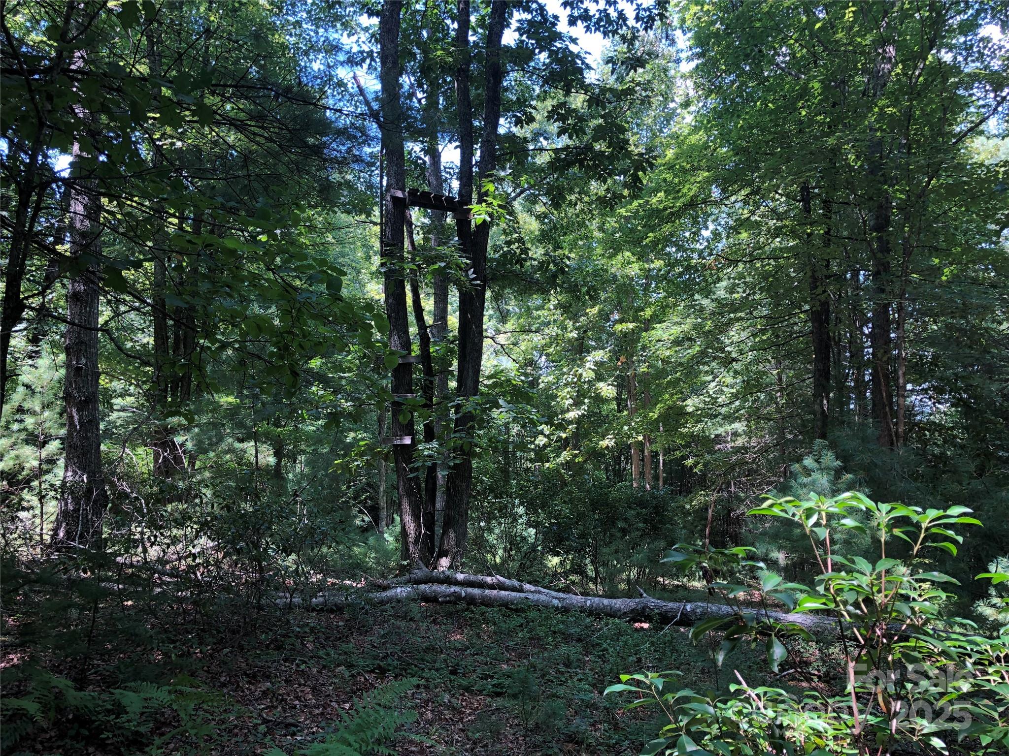 Tbd Maines Hill Lane Property Photo 35