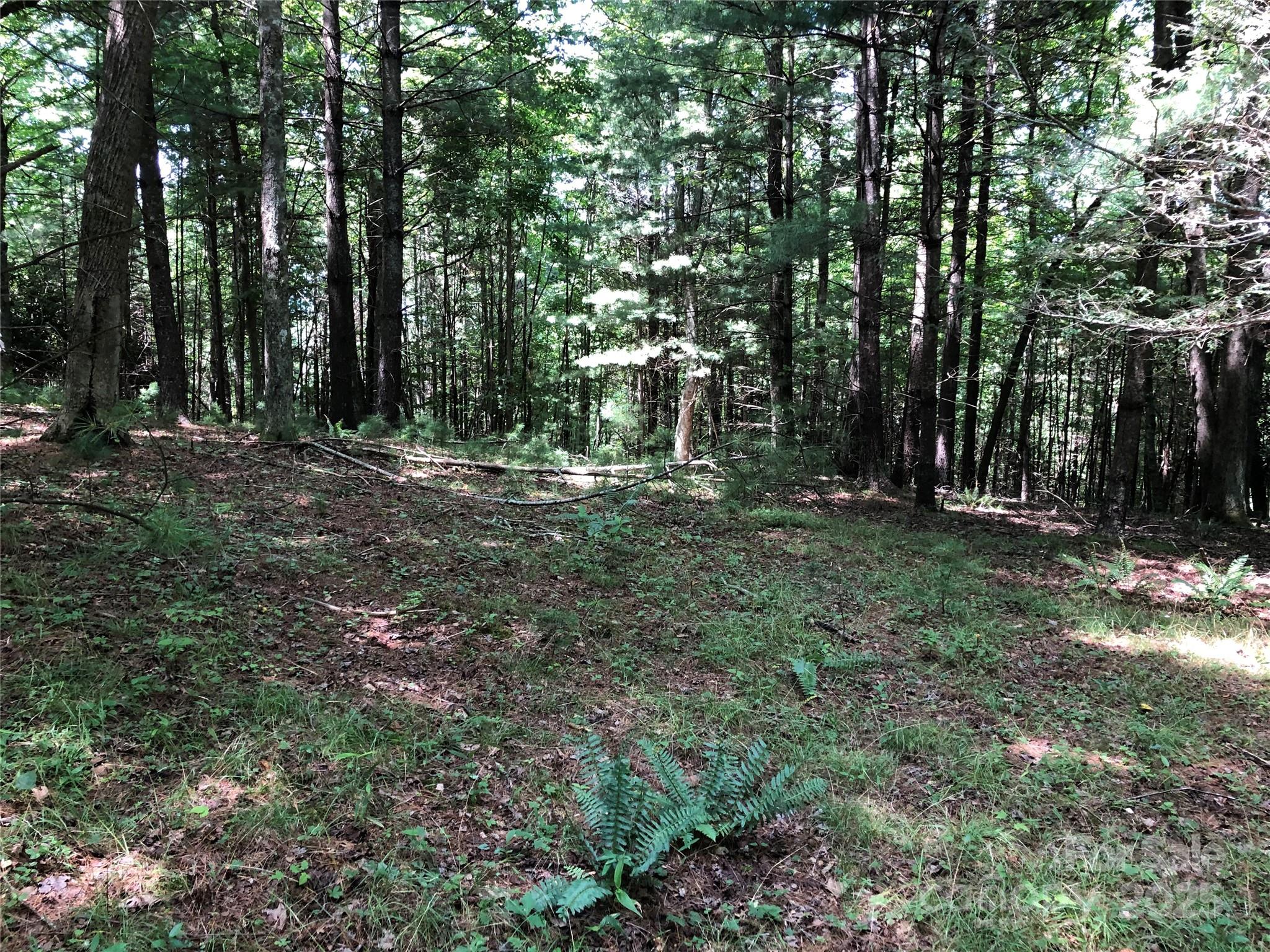Tbd Maines Hill Lane Property Photo 36