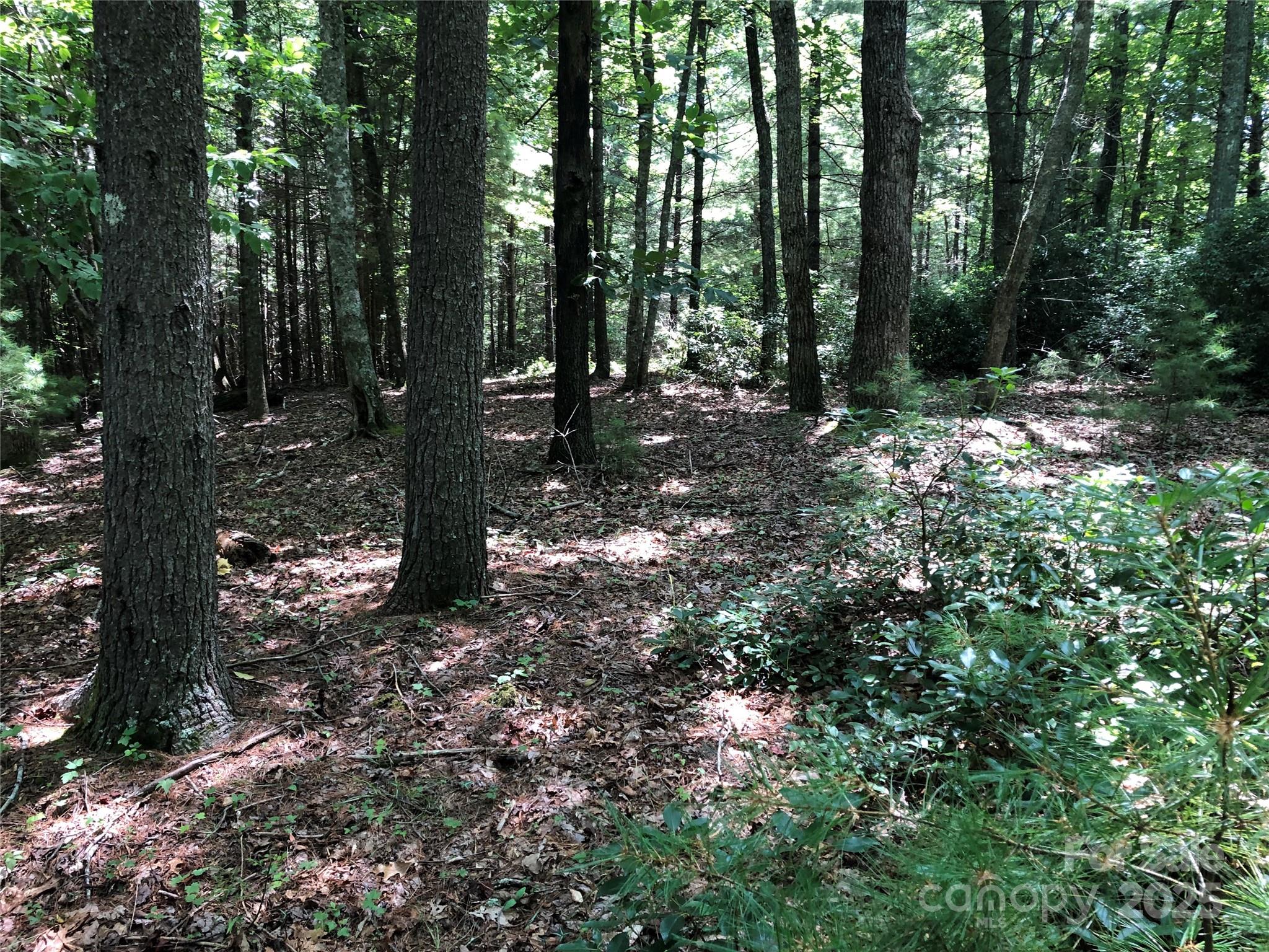 Tbd Maines Hill Lane Property Photo 37