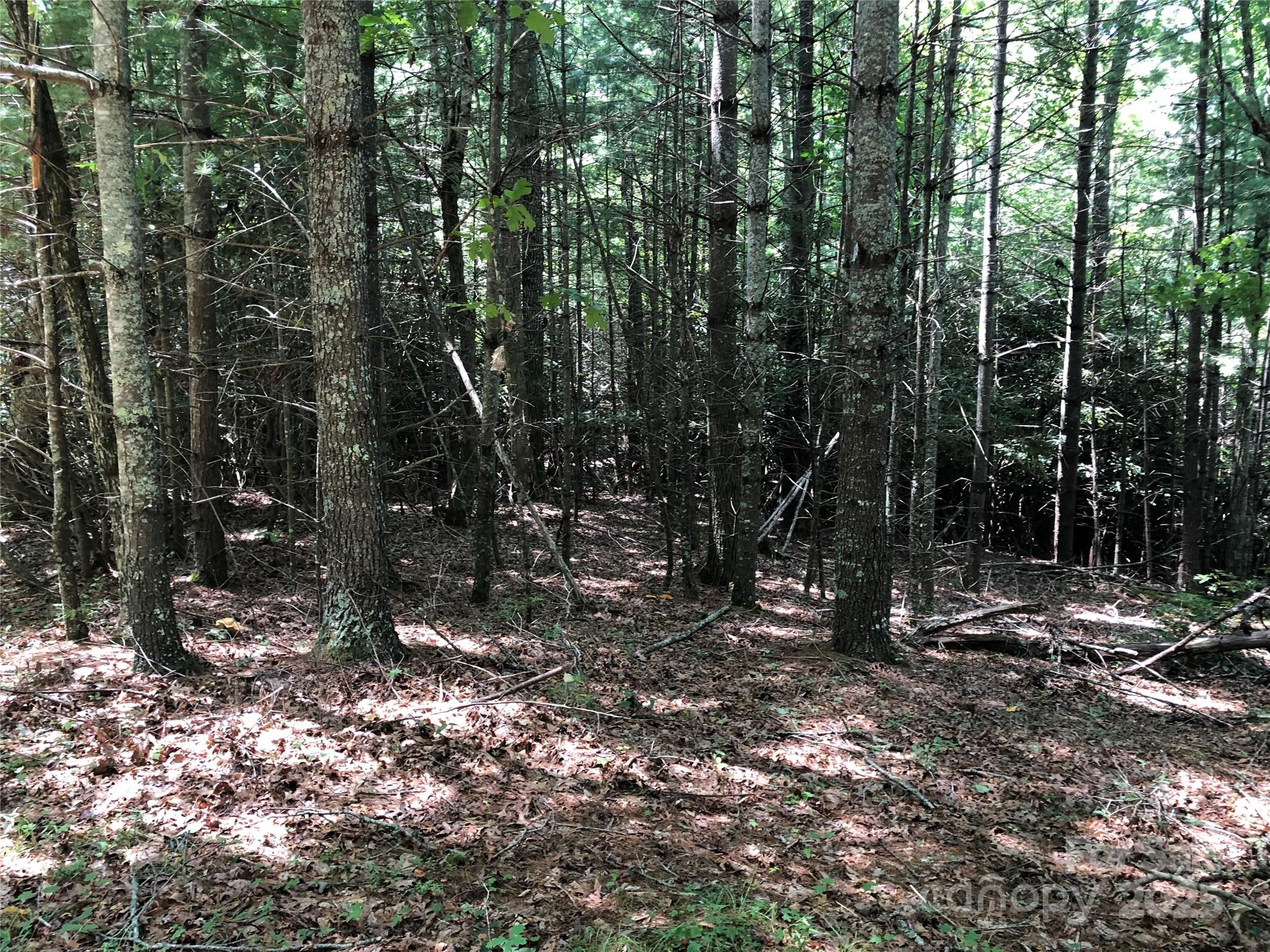 Tbd Maines Hill Lane Property Photo 38