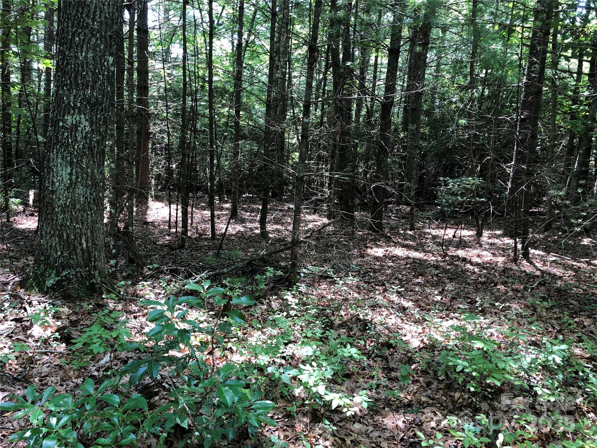 Tbd Maines Hill Lane Property Photo 39