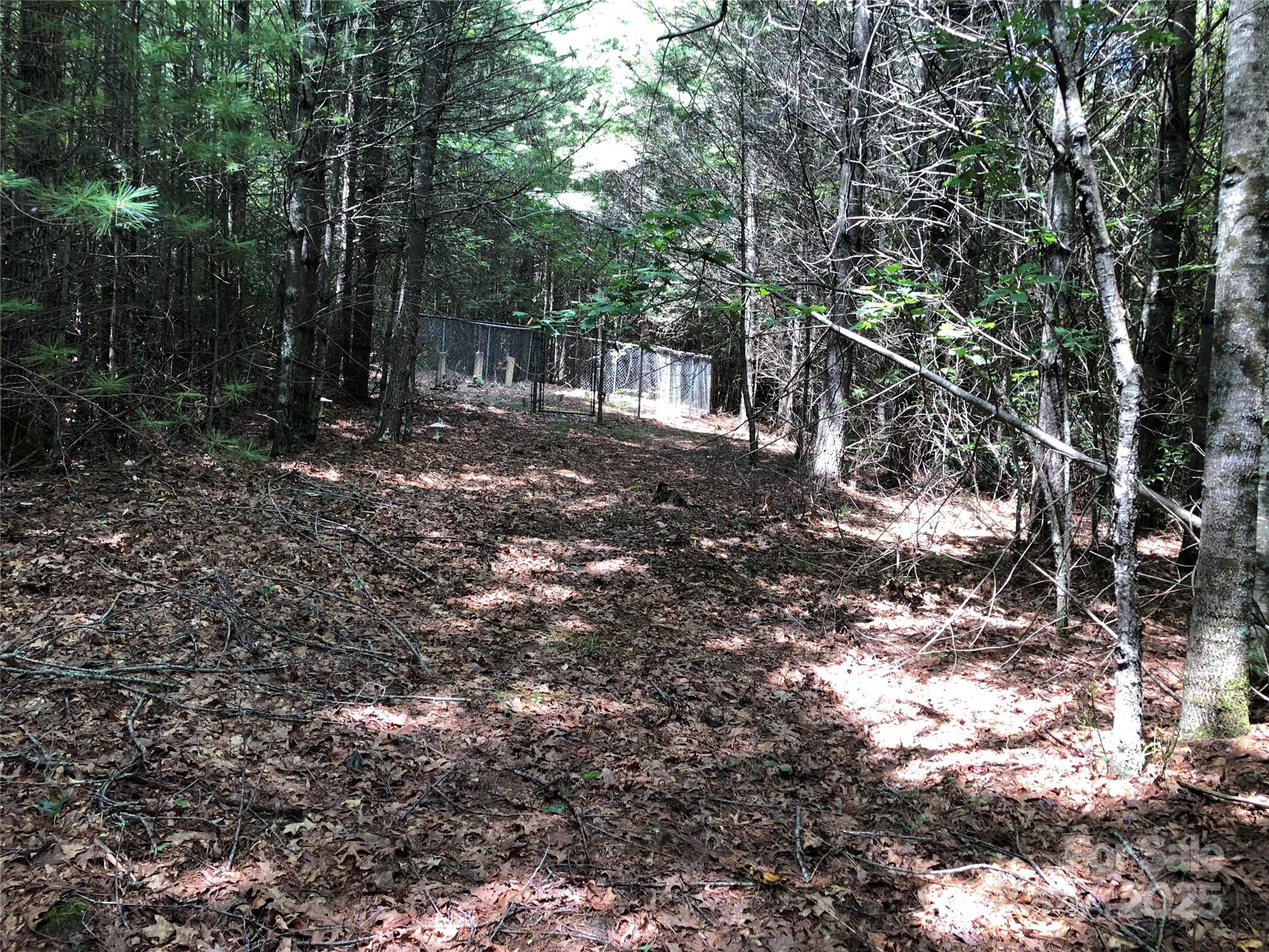 Tbd Maines Hill Lane Property Photo 40