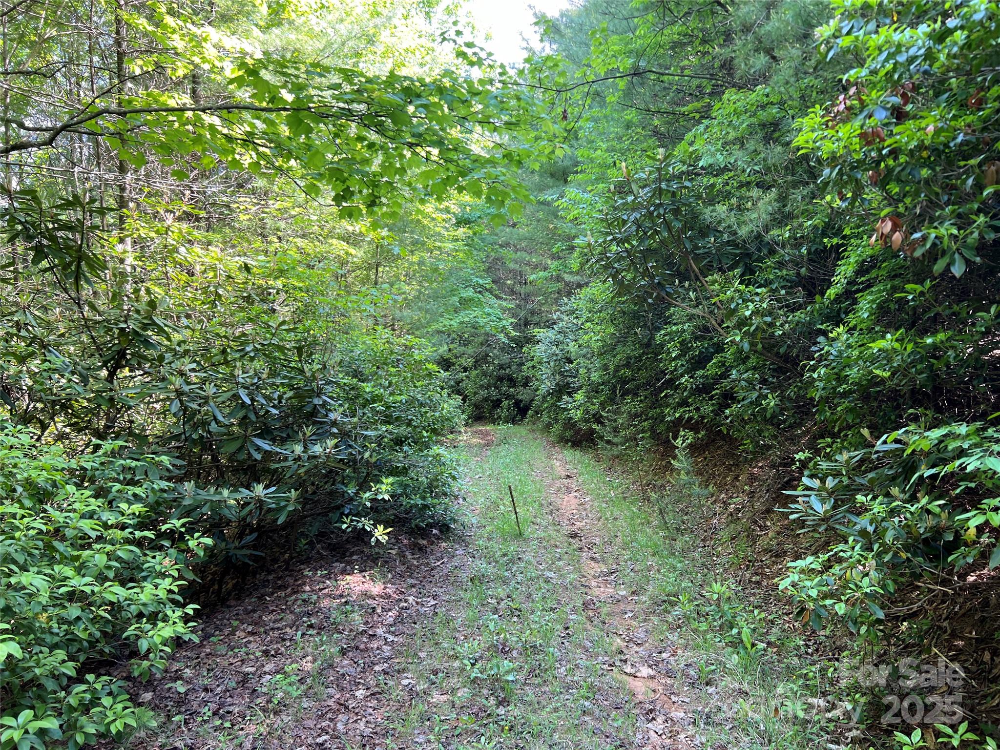 Tbd Maines Hill Lane Property Photo 42