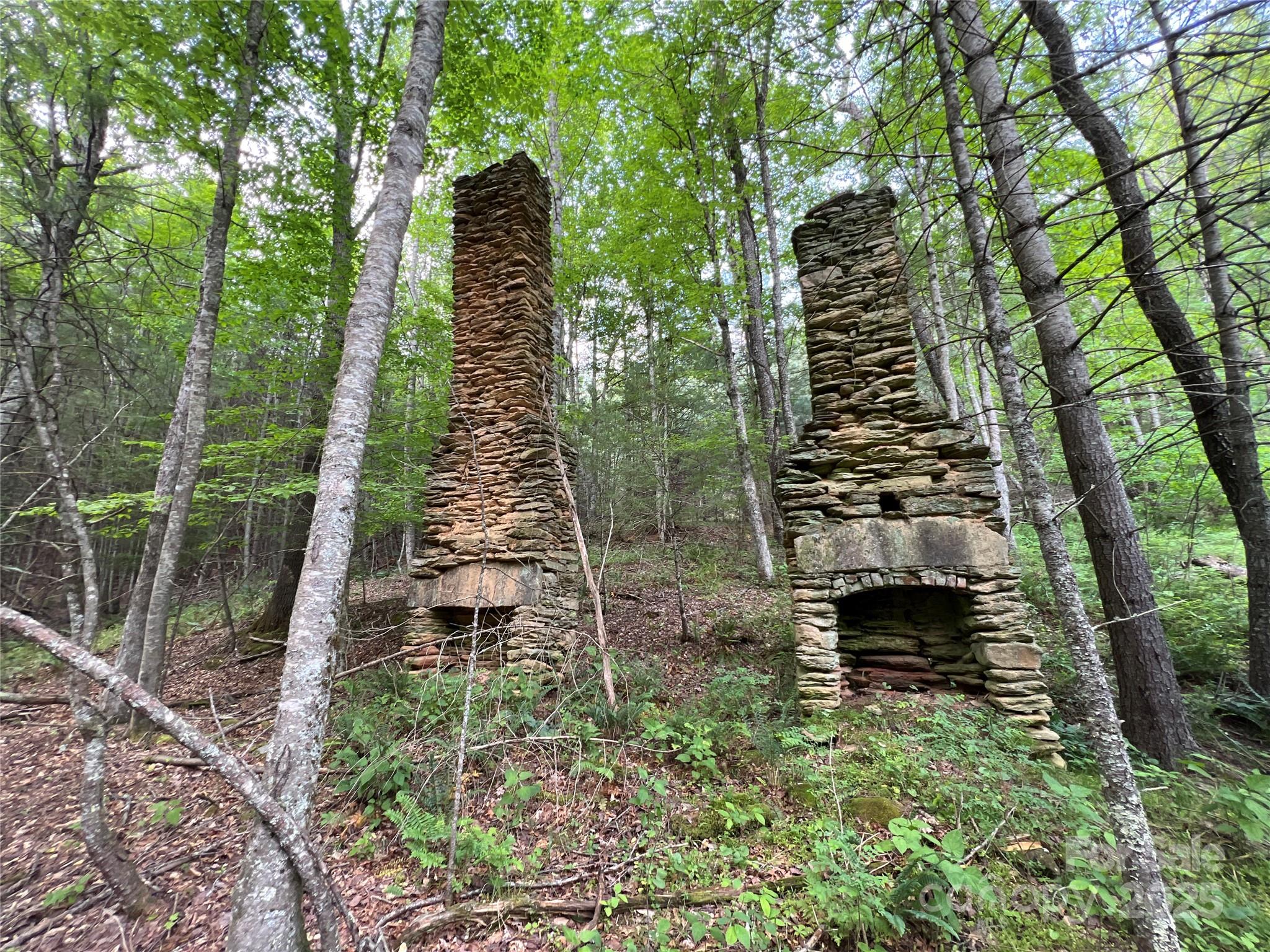Tbd Maines Hill Lane Property Photo 43
